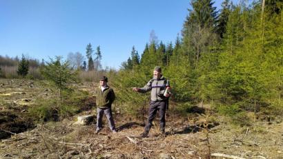 Bild: exb
Die Beratung von Privatwaldbesitzern ist eine der Kernaufgaben von Förster Markus Reger (rechts).