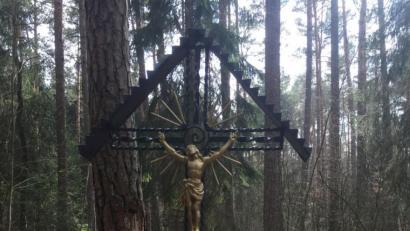 Bild: hae
Nur 50 Meter nach dem Eintritt in den Wagrainer Wald findet sich auf dem Weg nach Aschach dieses Gedenkkreuz. Es wurde von Hans Moosburger aus Ammersricht errichtet.