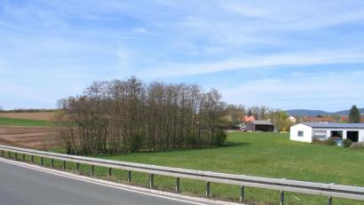 Bild: bkr
Mitten im geplanten Gewerbegebiet zwischen Friedhof und Staatsstraße 2177 liegt ein kleines Feuchtbiotop. Dotterblumen blühen dort bereits. Die spannende Frage ist, kann es wie gewünscht verlegt werden?