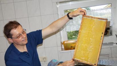 Bild: weu
Michael Völkl aus Pirk ist passionierter Imker und gibt als Bienenfachwart und ausgewiesener Fachmann der Imkerei sein Wissen weiter.