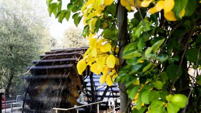 Bild: Hösamer
Ein Bild aus besseren Tagen: 2014 im Herbst liefen die Wasserräder noch. Jetzt stehen sie still.