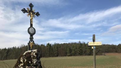 Bild: exb/Naturpark Hirschwald e.V.
Wunderbare Naturerlebnisse erwarten Wanderer auf dem Teil des Jakobsweges, der durch den Hirschwald führt.