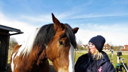 Bild: ubb
Vorsitzende Sandra Dietl hat auch ein eigenes Pferd. „Tosia“, ihre Stute, wollte sie eigentlich als Schulpferd für den Verein kaufen. „Dann habe ich mich so an sie gewöhnt, dass ich sie behalten wollte“, sagt sie.
