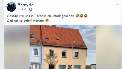 Bild: Facebook/newler84
Ein Unbekannter im T-Rex-Kostüm ist am Sonntag durch Neustadt/WN gelaufen.