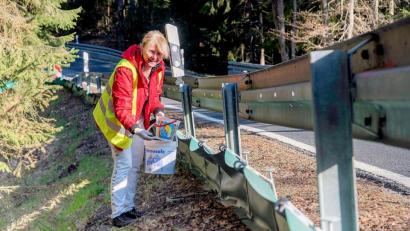 Bild: bsc
Hinter den Leitplanken überwachen die Mitglieder des Vereins Kulturlandschaft südlicher Steinwald derzeit täglich zweimal die Wanderwege der Amphibien. Beim Versuch, den Amphibienschutzzaun zu umwandern, fallen die Tiere in eingegrabene Fangeimer. Rita Steinkohl (Bild) prüft deshalb bei ihrem Kontrollgang jeden Eimer und befreit die Tiere aus ihrem unfreiwilligen Zwischenstopp.
