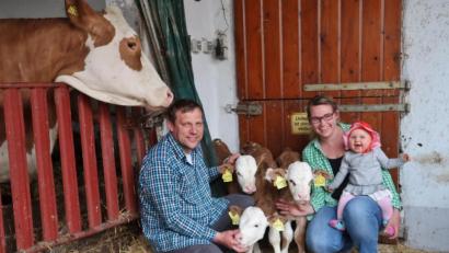 Bild: rha
Dreifaches Glück im Stall der Familie Weiß: Dies sind die ersten Kälbchen-Drillinge, die auf dem Bauernhof der Tormeiers zur Welt kommen. Links die Mutterkuh Donut.