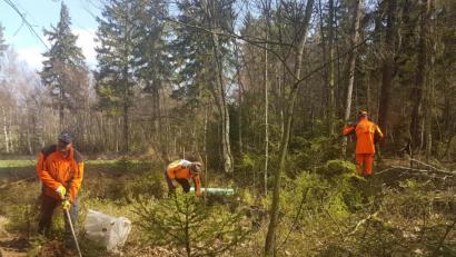 Bild: tr
Die Waldarbeiter Wolfgang Popp, Michael Pscherer und Peter Schraml pflanzen im Revier Pullenreuth den Wald von morgen. Der wird anders aussehen als heute, aber dem zu erwartenden trockeneren Klima besser standhalten.