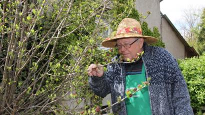 Bild: ads
Der "Vater des Krätergartens" Willi Meier war in seinem Garten stets unterwegs und Pflegte und hegte den Garten mit großer Sorgfalt und Gewissenhaftigkeit.