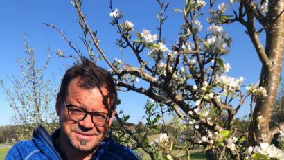 Bild: Schlöger
Harald Schlöger hat vergangenes Jahr mit der Methode „von Baum zu Baum“ einen Birnbaum veredelt. Mit dem Messer zeigt er auf die Veredelungsstelle.