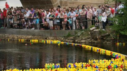 Bild: Wolfgang Steinbacher
Bilder wie dieses wird es so schnell nicht wieder geben: Das Entenrennen, das am 26. April sein sollte, ist abgesagt.