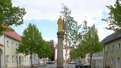 Bild: amö
An der Rückseite der Mariensäule "wächst" die Birke aus den Überresten des letzten Maibaums heraus.