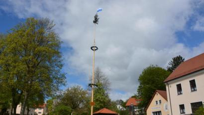 Bild: jr
Dieser stattliche Maibaum schmückt den Dorfplatz im Kappldorf Münchenreuth, ganz nach alter Sitte und Brauchtum. Wer ihn aufgestellt hat, ließ sich nicht klären.