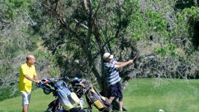 Bild: Dean Musgrove
Ein Golfer schlägt ab. Foto: Dean Musgrove/Orange County Register via ZUMA/dpa/Archivbild