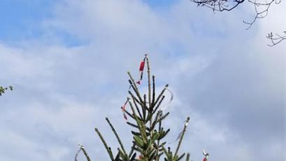 Bild: hl
Der Mini-Maibaum auf dem Dorfplatz in Atzmannsberg.