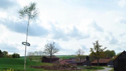 Bild: jml
Die Bewohner der Gründörfer lassen das Brauchtum auch in Coronazeiten nicht untergehen und stellten die etwas windschiefe, recht schlanke Birke als Maibaum auf. In Zeiten einer Pandemie ein ganz besonderes Zeichen, das Mut macht.