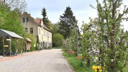 Bild: exb
Johanna Härtl, Leiterin der Umweltstation Waldsassen, hofft auf ein baldiges Ende der Zwangspause im Naturerlebnisgarten.