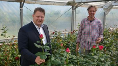 Bild: jr
Gewerbefördervereins-Vorsitzender und Bürgermeister Stefan Grillmeier (links) und Rosenzüchter Hans-Joachim Schinner begutachten einen Teil der Rosen, die am Freitagnachmittag und am Samstag den Frauen in Mitterteich überreicht werden.