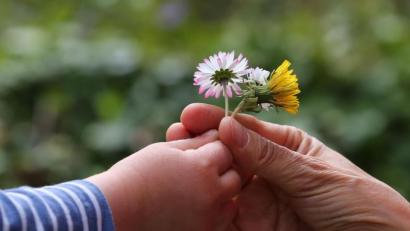 Archivbild: Karl-Josef Hildenbrand/dpa
Ein vierjähriger Junge überreicht in einem Garten seiner Mutter gepflückte Blumen.