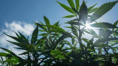 Bild: dpa
Hat ein 36-Jähriger im Dreifaltigkeitsviertel eine Art Drogenlager? Das wird nun vor Gericht geklärt.