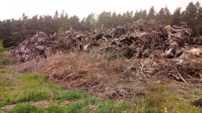 Bild: exb
Eine ökologische Ausgleichsfläche mag für Laien unbewirtschaftet aussehen – aber sie wird gepflegt. Hier Müll abzuladen, ist verboten. Auch wenn es dabei um Schnittgut geht, wie hier bei Pittersberg.