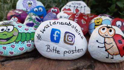 Bild: exb
Die Steine von Ramona Welzenbach sind mit einer grinsenden Raupe, einem Marienkäfer oder nur mit einem lachendes Gesicht bemalt. Auf der Rückseite findet sich der HInweise auf die Facebookgruppe #waldnaabsteine.