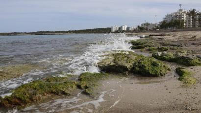 Bild: Clara Margais/dpa
Eine Welle prallt auf einige Felsen am Strand von Cala Millor. Die Abwesenheit von Touristen ist an den Stränden Mallorcas spürbar. "Das Wasser ist derzeit spektakulär transparent", sagt der Biologe Txema Brotons.