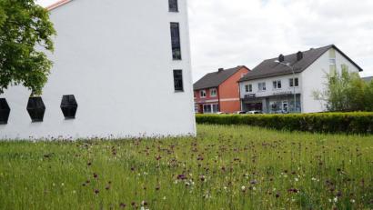 Bild: weu
Während die Kirchentüre geschlossen war, ist das Blumenfeld neben der Auferstehungskirche üppig aufgeblüht. Es bietet Bienen Nahrung und erfreut die Gottesdienstbesucher, die ab Sonntag wieder in die Kirche gehen dürfen.