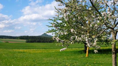 Bild: do
Heimat "Kulmgau": Lebensgefühl in Weiß-blau