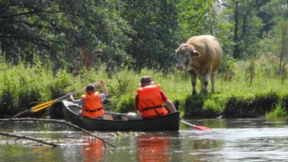 Bild: ref
Warum nicht "Urlaub dahoam": Auch die Heimat bietet Sehenswertes.