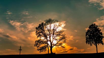 Bild: idu
Die Eiche am Pichlberg brennt, könnte man meinen.