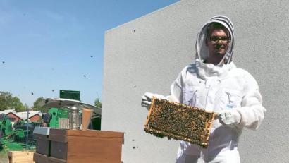Bild: Karoline Gajeck-Scheuck/exb
Verstärkung für die „SWAMbies“, die Bienen der Stadtwerke Amberg: Inzwischen gibt es dort vier Völker, worüber sich auch der neue freiwillige Stadtwerke-Imker Josef Schlaffer freut.