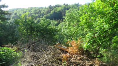 Bild: Polizei Sulzbach-Rosenberg
Auf diese größere Menge Unrat stieß die Polizei nach einem anonymen Hinweis.