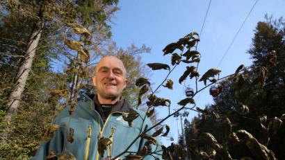 Bild: Forstbetrieb Fichtelberg/exb
Werner Schmidt, Förster am Ochsenkopf, mit einem vom Frost geschädigten Buchenzweig.