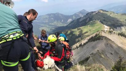 Bild: dpa
Der Hund war mit seiner 43 Jahre alten Besitzerin am Gipfel des Hohen Freschen unterwegs und dann rund 60 Meter in die Tiefe abgerutscht. Die Retter wurden mit einem Polizeihubschrauber eingeflogen, seilten den Hund an und zogen ihn zurück auf den Wanderweg. Später flog der Hubschrauber Finn zu einem Tierarzt.