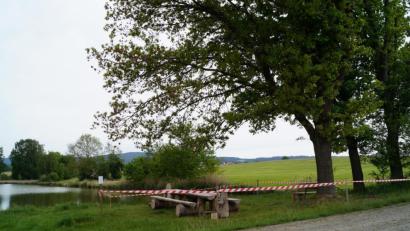 Bild: Sonja Meier
Die Baumgruppe rechts, die sich am Ufer des Badeweihers in Muschenried (links im Bild) befindet, ist vom Eichenprozessionsspinner befallen. Die Marktgemeinde hat den Bereich absperren lassen.