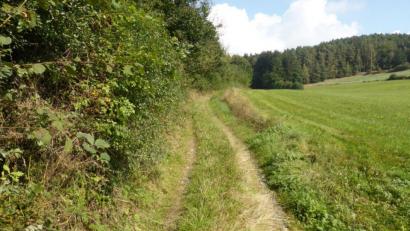 Bild: exb/Amt für Ländliche Entwicklung
Vorhandene Erdwege werden durch zeitgemäße Schotterwege ersetzt, um die Erreichbarkeit der Felder und Wälder mit neuzeitlichen Maschinen zu ermöglichen.