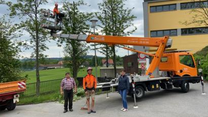 Bild: amö
Auch im Bereich der Grundschule Winklarn-Thanstein wurden mehrere Bäume untersucht.