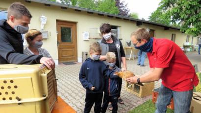 Bild: ubb
So geht "Geflügel to go": Händler Christian Mößner lässt die Kinder Paul und Max (von rechts) das Huhn streicheln, bevor es in die Kiste kommt zum Transport. Vereinsvorsitzende Heike Suchanek (Zweite von rechts) sowie die Eltern Michael und Steffi Werner (links) sind froh, dass der Hühnerkauf trotz der Einschränkungen wegen Corona gut funktioniert hat.