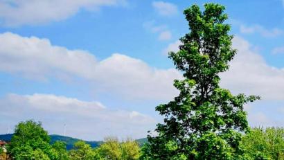 Bild: sche
Noch ist völlig unklar, wann im Freudenberger Freibad die Saison starten kann.
