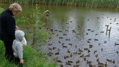 Bild: Houschka
Eine Schar Wildenten sorgte für eine schnatterndes Erlebnis.
