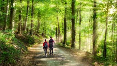 Bild: exb/Jan Becke
Wozu in die Ferne schweifen? Ein Pärchen genießt einen Spaziergang im Oberpfälzer Wald.