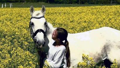 Bild: Josefine Trejbal
Ein echter Hingucker: weißes Pferd in gelbem Feld.