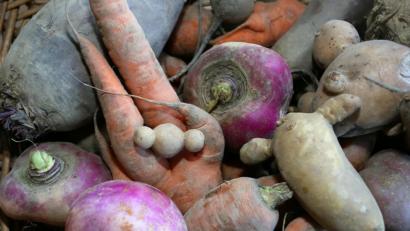 Bild: Stephanie Pilick/dpa
Krumm gewachsene Möhren und anderes Gemüse liegt in einem Korb. Die Rübenretter nutzen solches Gemüse für ihr Geschäftsmodell