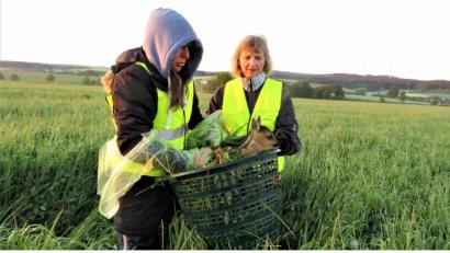 Bild: ubb
Andrea Müller Klarner und Heidemarie Schünzel (v. li.) bergen ein Kitz aus der Wiese von Biobauer Freundl. Das Tier wurde mit einer an einer Drohne instgallierten Wärmebildkamera geordet und damit vor dem Mähtod bewahrt.