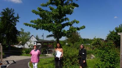Bild: exb
Über die erfolgreich abgeschlossene Ausbildung freuen sich (von links) Pflegedienstleiterin Gabriele Eckl, die neue Qualitätsbeauftragte Ulrike Bauer und die Leiterin des Barbara-Heims, Marina Fink.