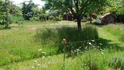 Bild: exb
Auf den gemähten Wegen kann man die Kreislehrgarten-Wiese hautnah erleben: im Wind wogende Grashalme, duftende Blühstreifen und unzählige Insekten. Dennoch gibt es Besucher, die dieses Fleckchen Erde scheinbar nicht zum Genießen besuchen, sondern zum Stehlen oder sogar Randalieren.