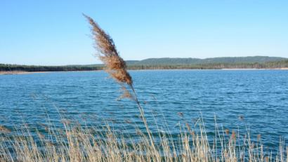Bild: Gabi Schönberger
Nicht nur der Freizeitsee Dießfurt ist für US-Soldaten tabu, stellt die US-Armee klar.
