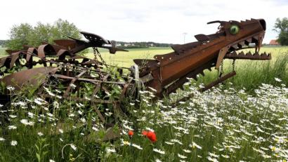 Bild: Petra Hartl
Der eiserne Drache aus Sauheim.