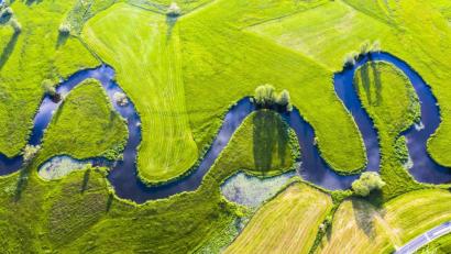 Bild: Josef Merkl
Bei Schwarzhofen mäandert die Schwarzach besonders prächtig durch die Wiesen und Felder.