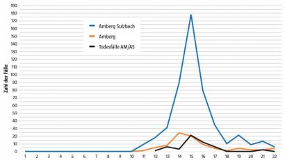 Grafik: Gesundheitsamt Amberg, Medizinaldirektor Dr. Roland Brey 
Die Covid-19-Neumeldungen im Bereich des Gesundheitsamts Amberg nach Kalenderwochen.